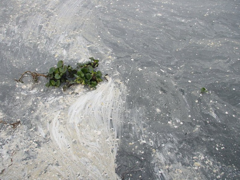 琿春市環保局加強了對污水處理廠的監管，確保污水達標排放