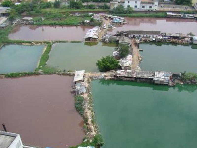 海口市七口養魚塘五種顏色儼如五彩池