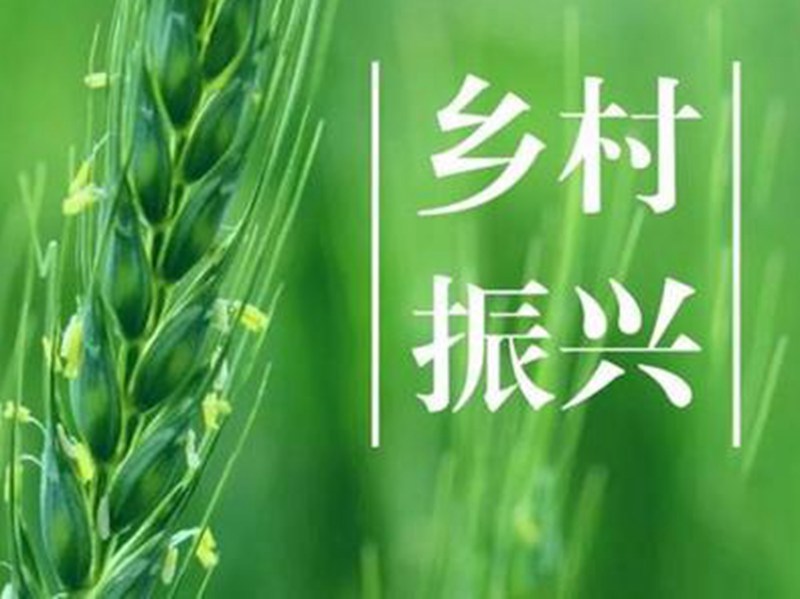 做好深入安鄉(xiāng)縣實地考察調(diào)研“三農(nóng)”工作