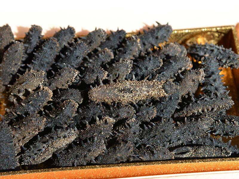 如何泡發干海參水處理設備？